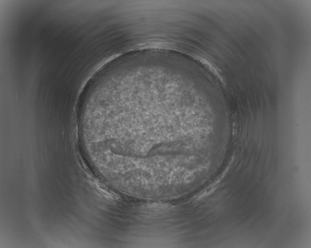 X0000073841117200609071534