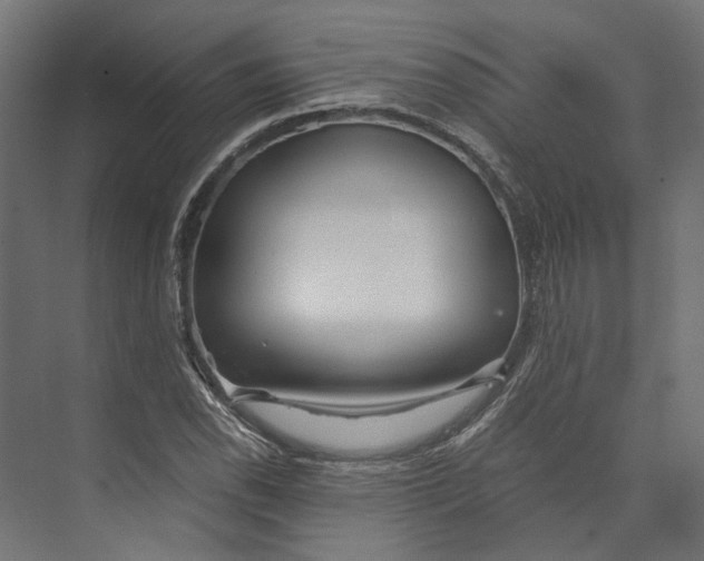 X0000073841118200609071534