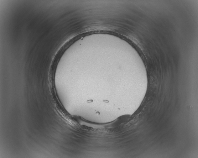 X0000073841119200609071534