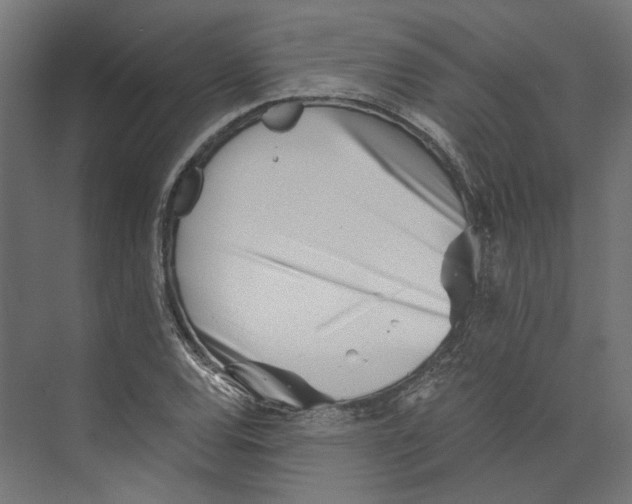 X0000073841120200609071534