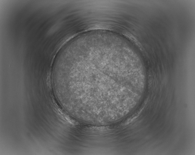 X0000073841121200609071534