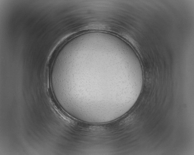 X0000073841123200609071534