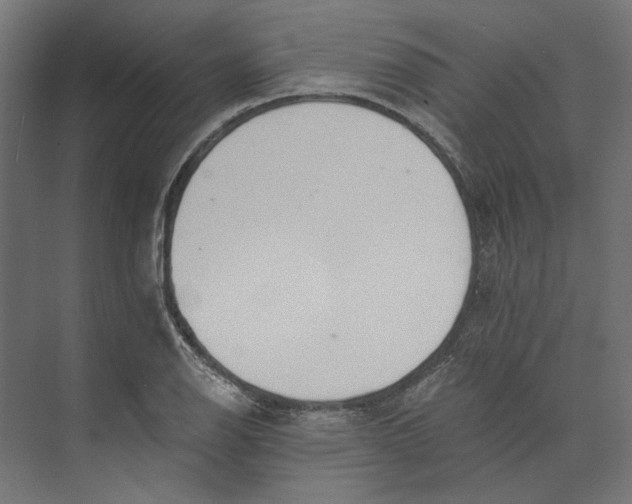 X0000073841126200609071534