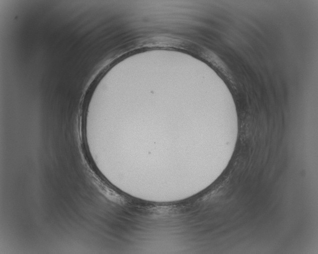 X0000073841130200609071534