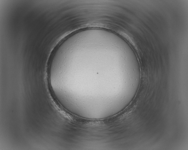 X0000073841133200609071534