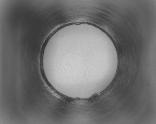 X0000073841134200609071534