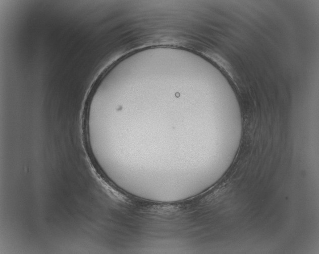 X0000073841135200609071534