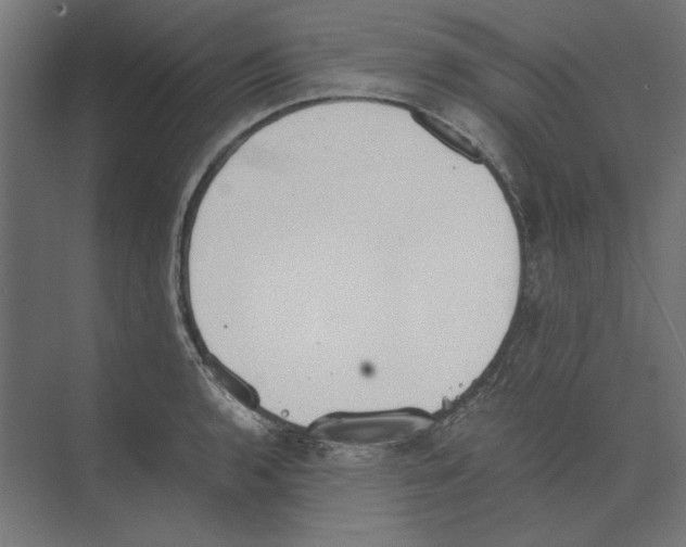 X0000073841136200609071534