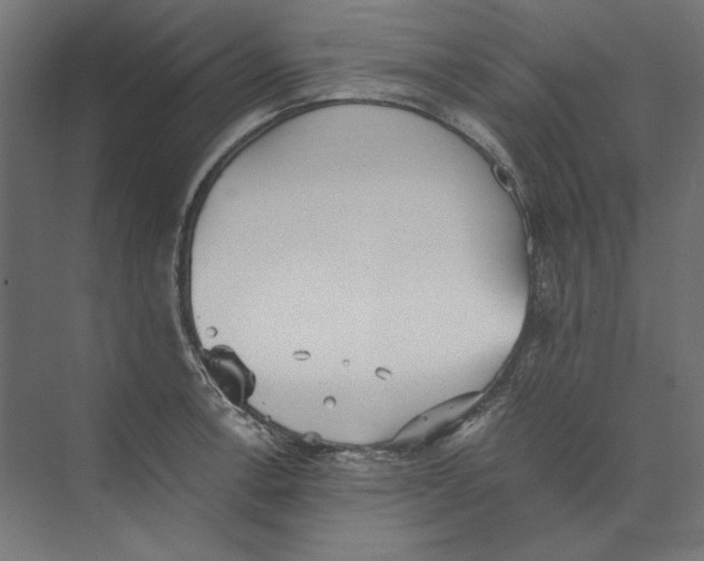 X0000073841138200609071534