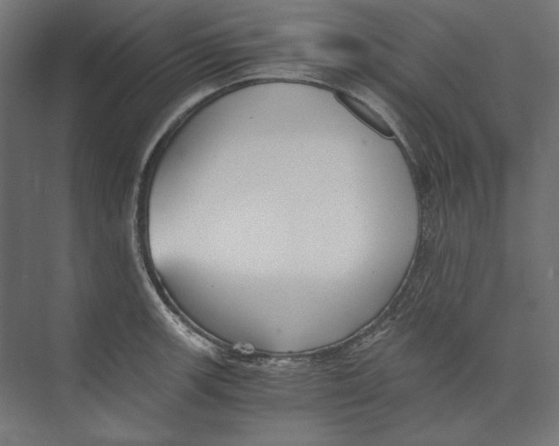 X0000073841139200609071534