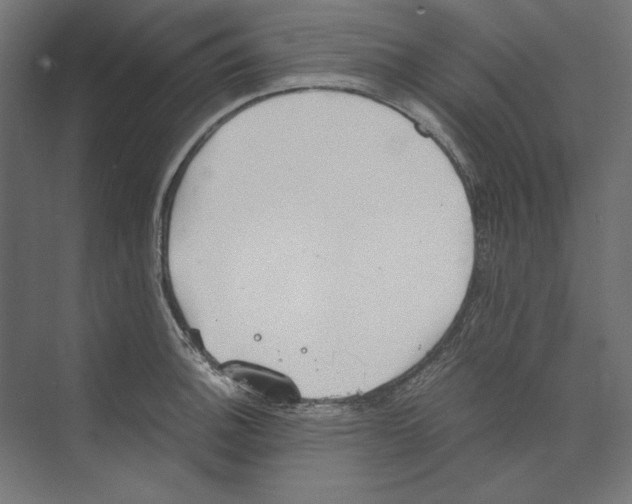 X0000073841140200609071534