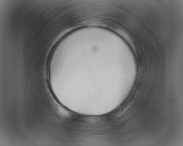 X0000073841141200609071534