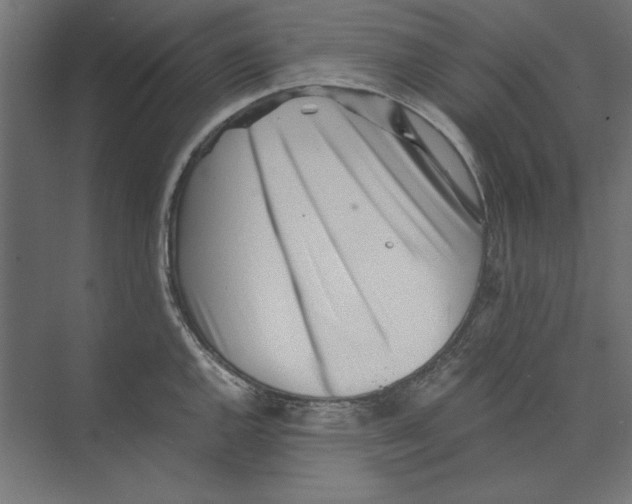 X0000073841144200609071534