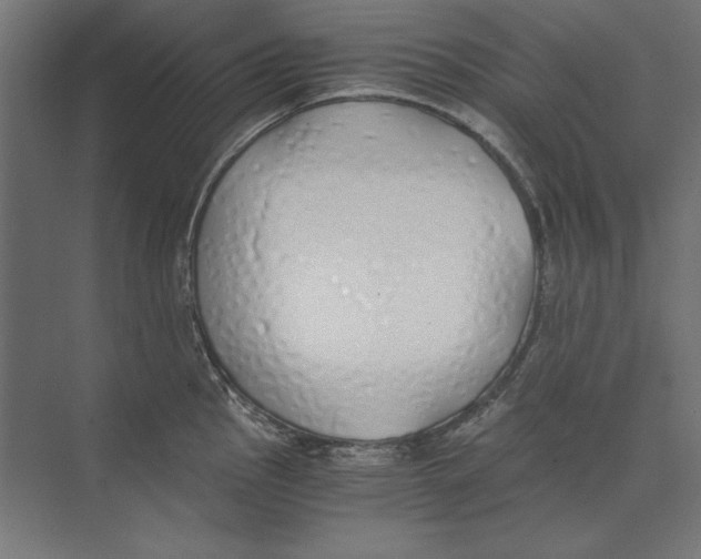 X0000073841145200609071534