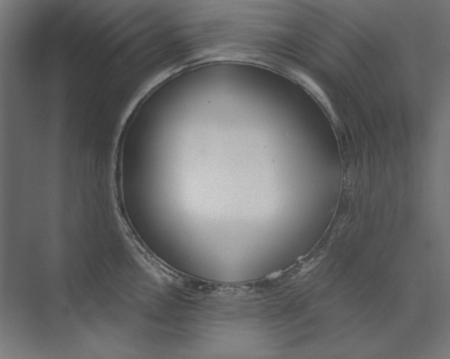 X0000073841146200609071534