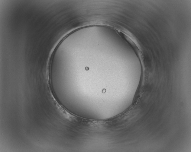 X0000073841148200609071534