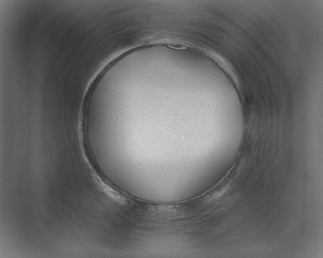 X0000073841149200609071534