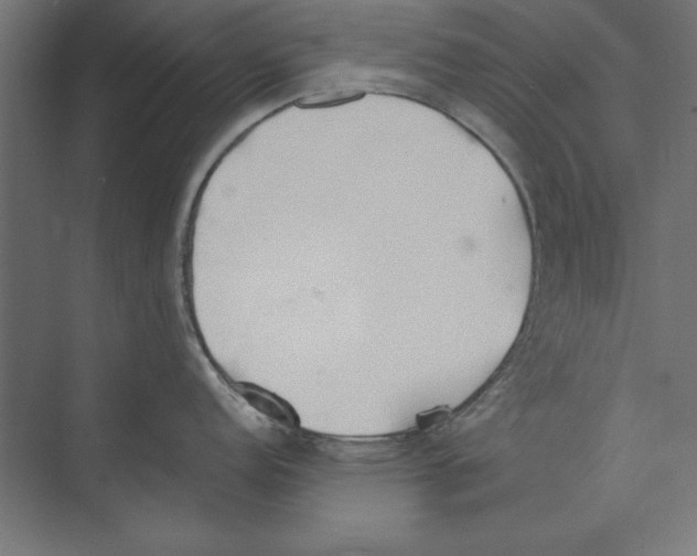 X0000073841152200609071534