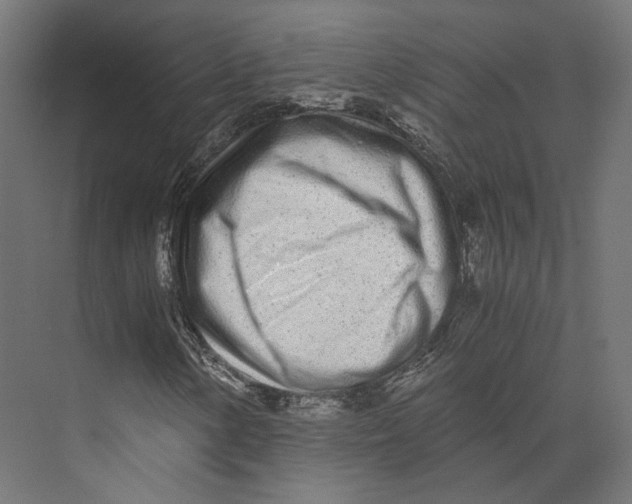 X0000073841154200609071533