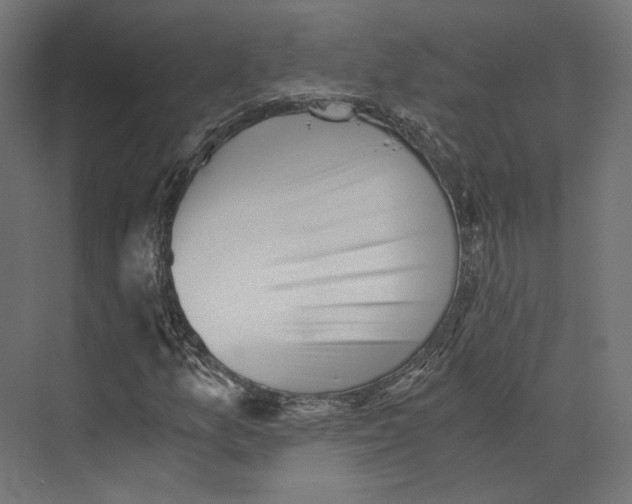 X0000073841157200609071533