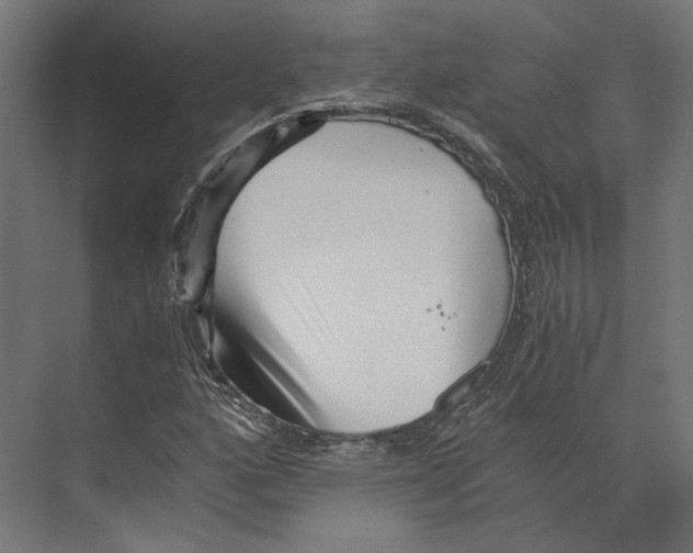 X0000073841160200609071533