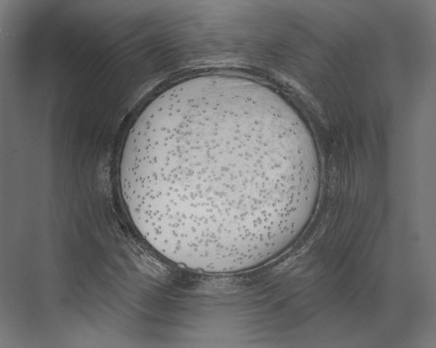 X0000073841162200609071533