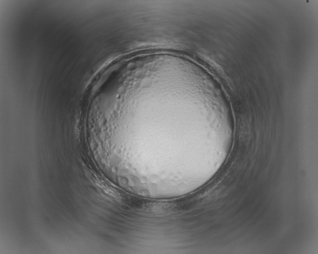 X0000073841163200609071533