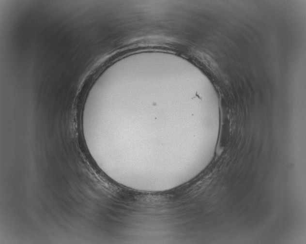 X0000073841164200609071533