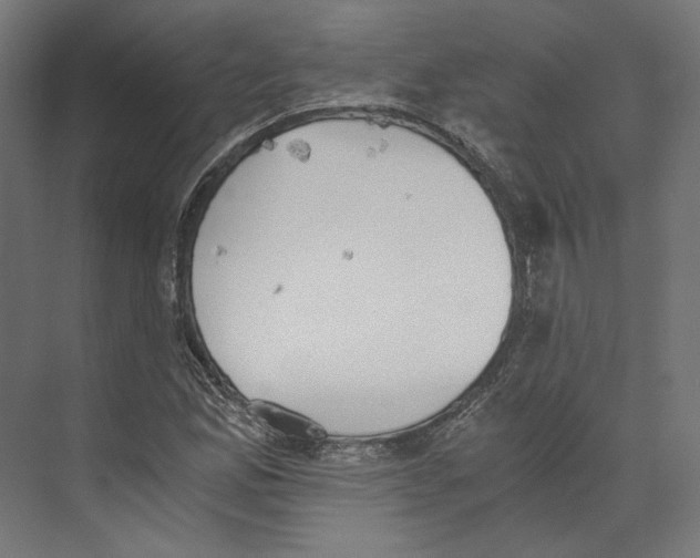 X0000073841165200609071533