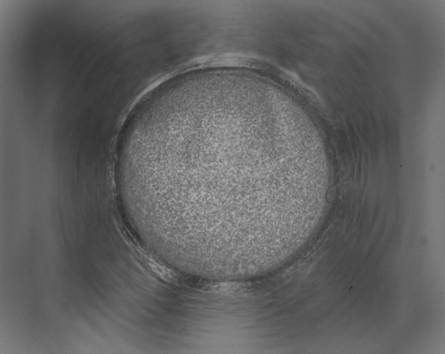 X0000073841166200609071533