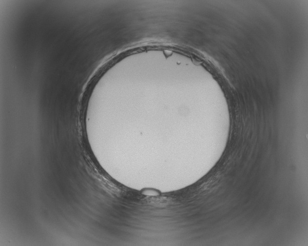 X0000073841168200609071533