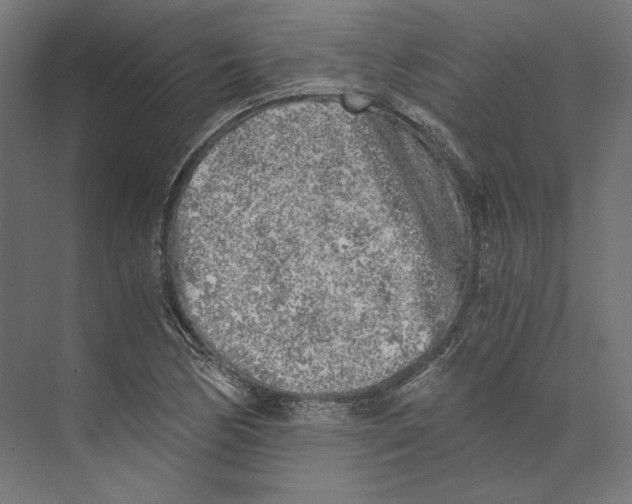 X0000073841170200609071533