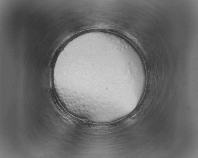 X0000073841171200609071533