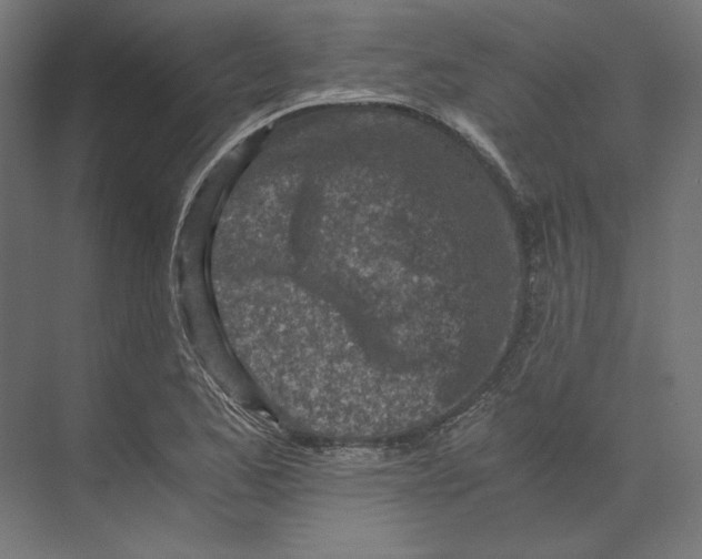 X0000073841173200609071533