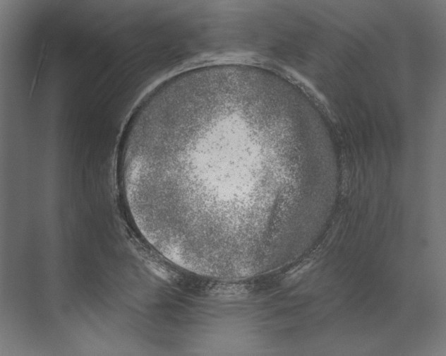 X0000073841174200609071533