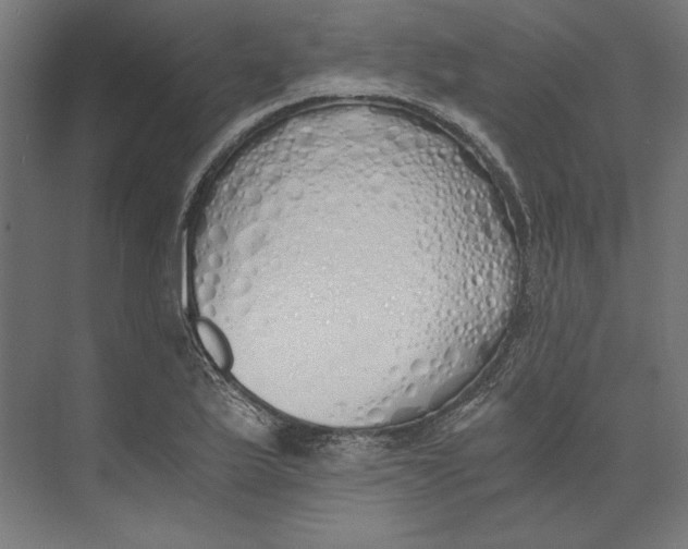 X0000073841175200609071533