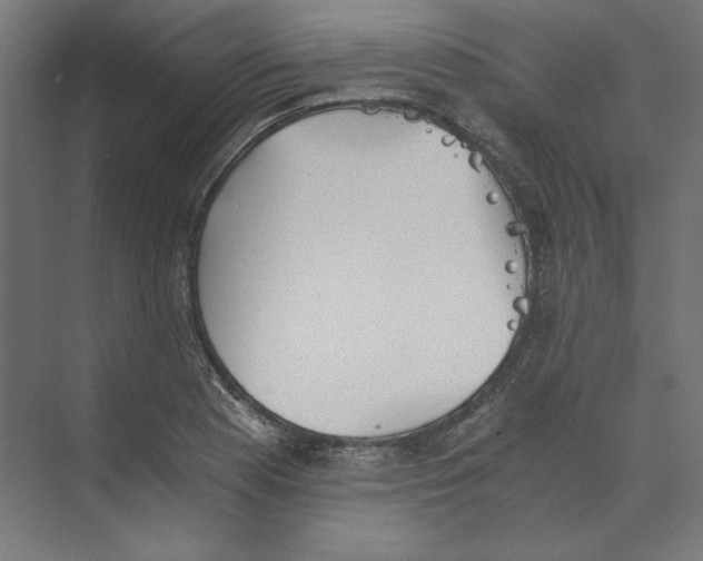 X0000073841177200609071533