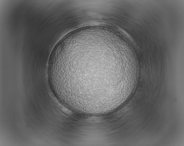 X0000073841178200609071533