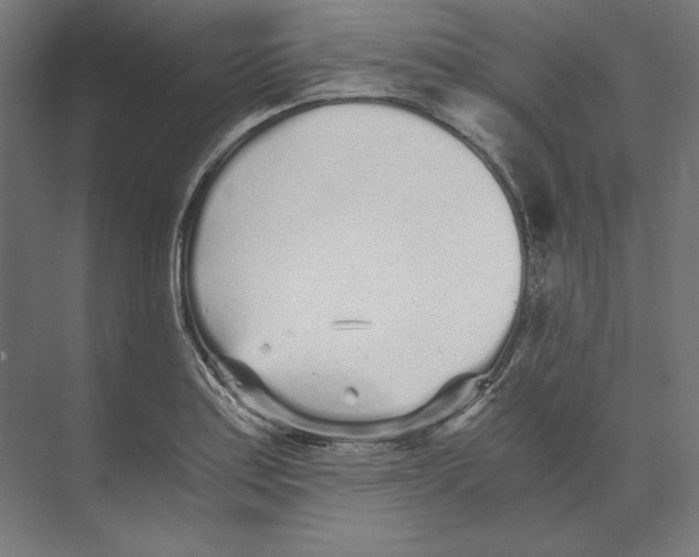 X0000073841179200609071533