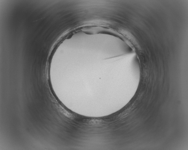 X0000073841180200609071533