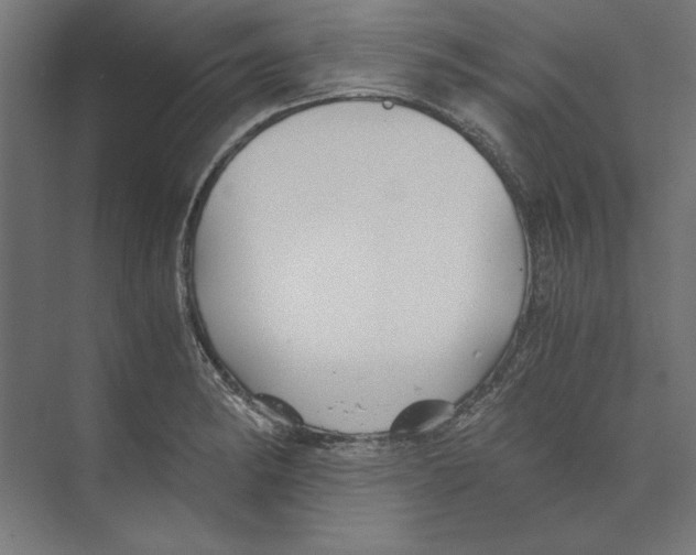 X0000073841182200609071533