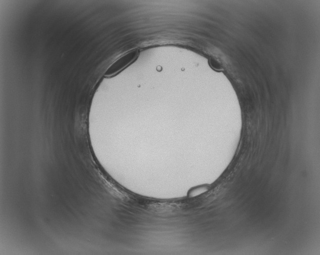 X0000073841185200609071533