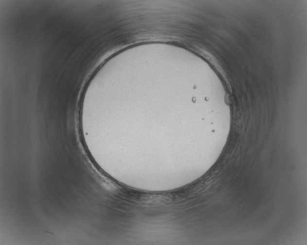 X0000073841187200609071533