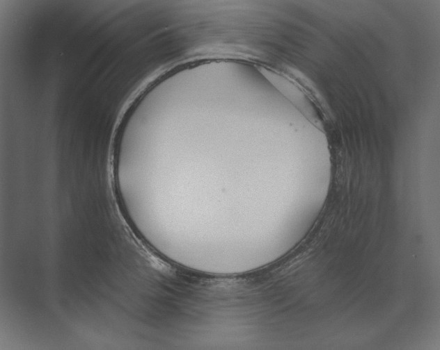 X0000073841188200609071533