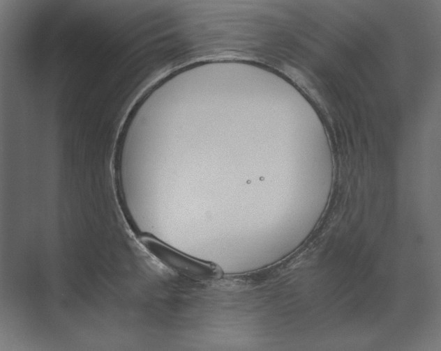 X0000073841189200609071533