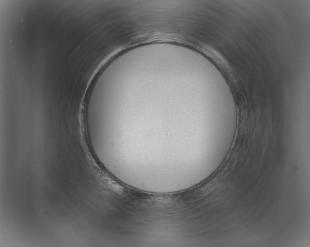 X0000073841190200609071533