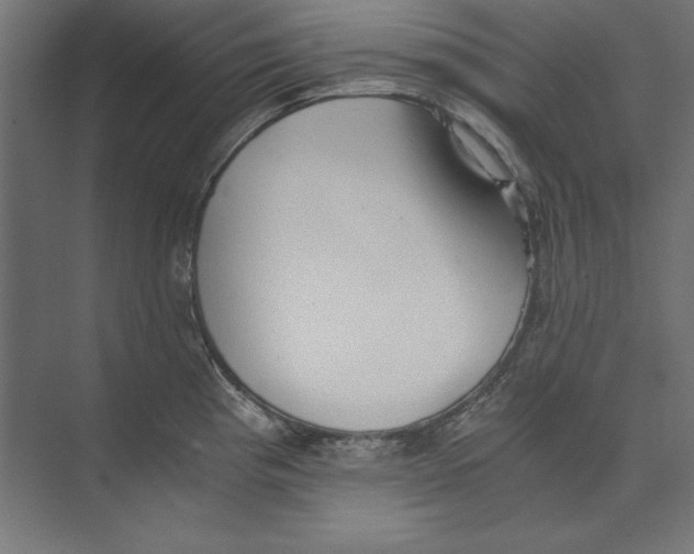 X0000073841193200609071533