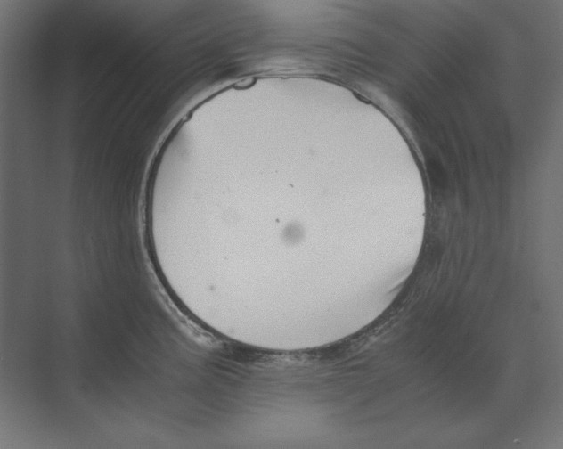 X0000073841195200609071533