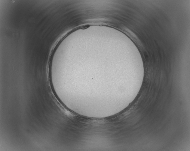 X0000073841196200609071533