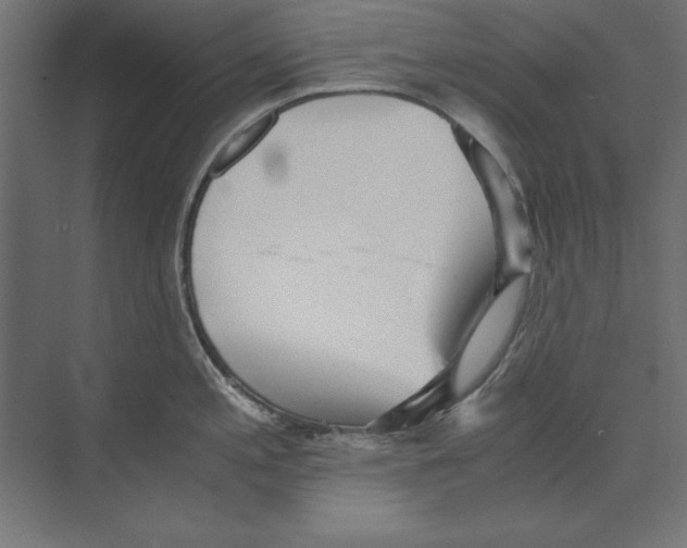 X0000073841197200609071533